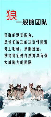 江南官方体育:机械设计手册第6版pdf(机械设计手册第五版pdf)